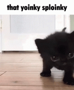 yoinky-sploinky-yoinky.gif